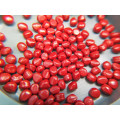 Red Color Plastic Masterbatch Suitable for PP/PE Resin